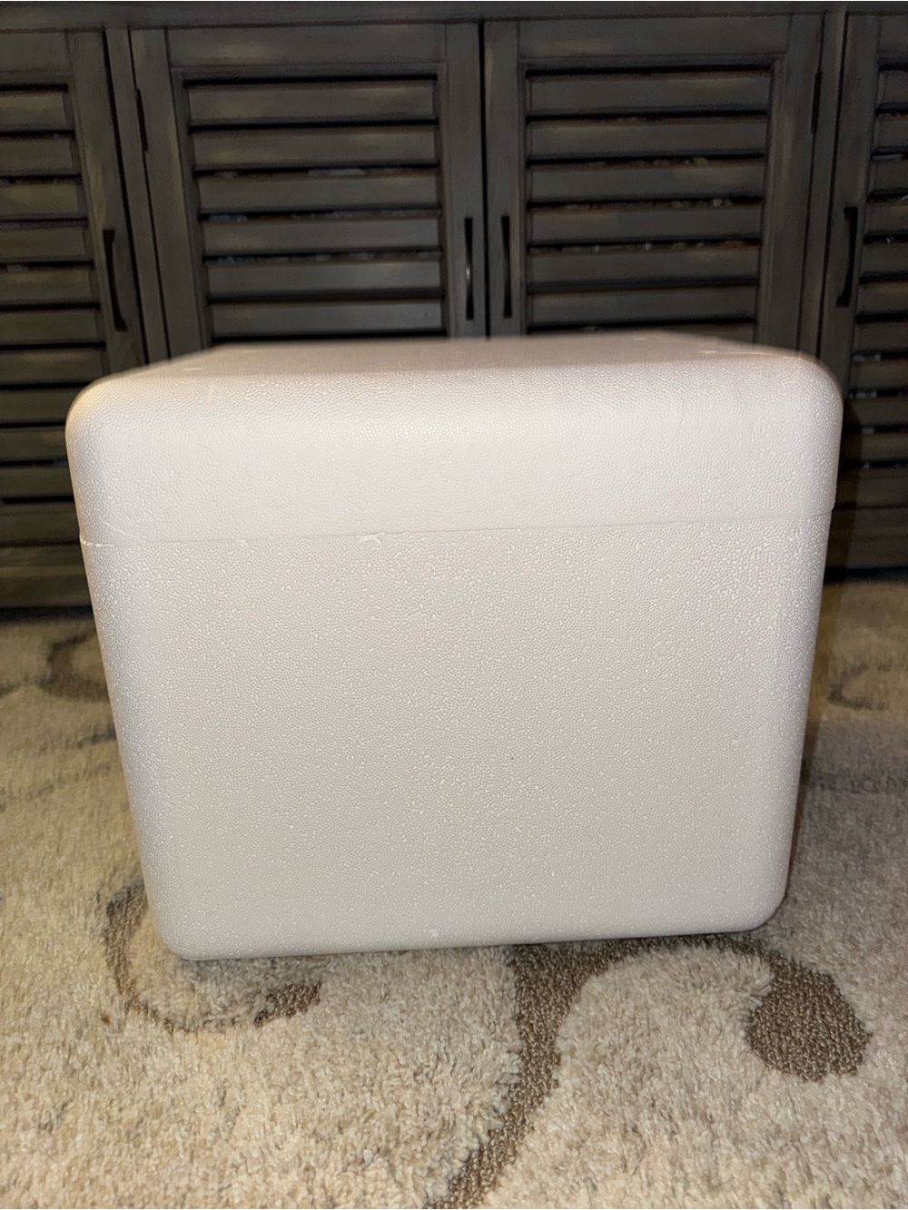Insulated Styrofoam Cooler w/ shipping box NWT